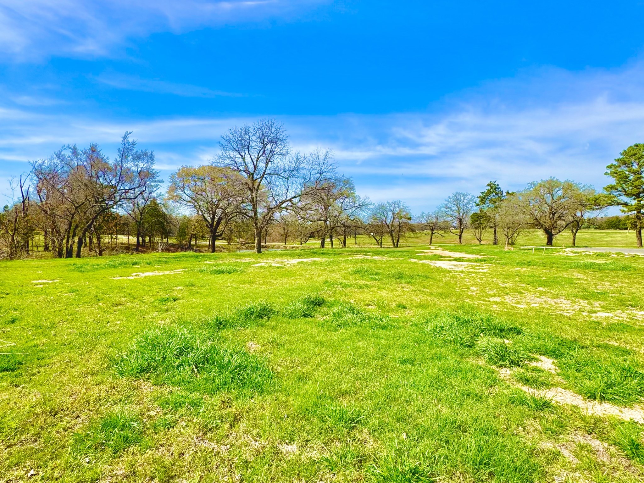 112 Lakelands Court Gordonville TX 76245