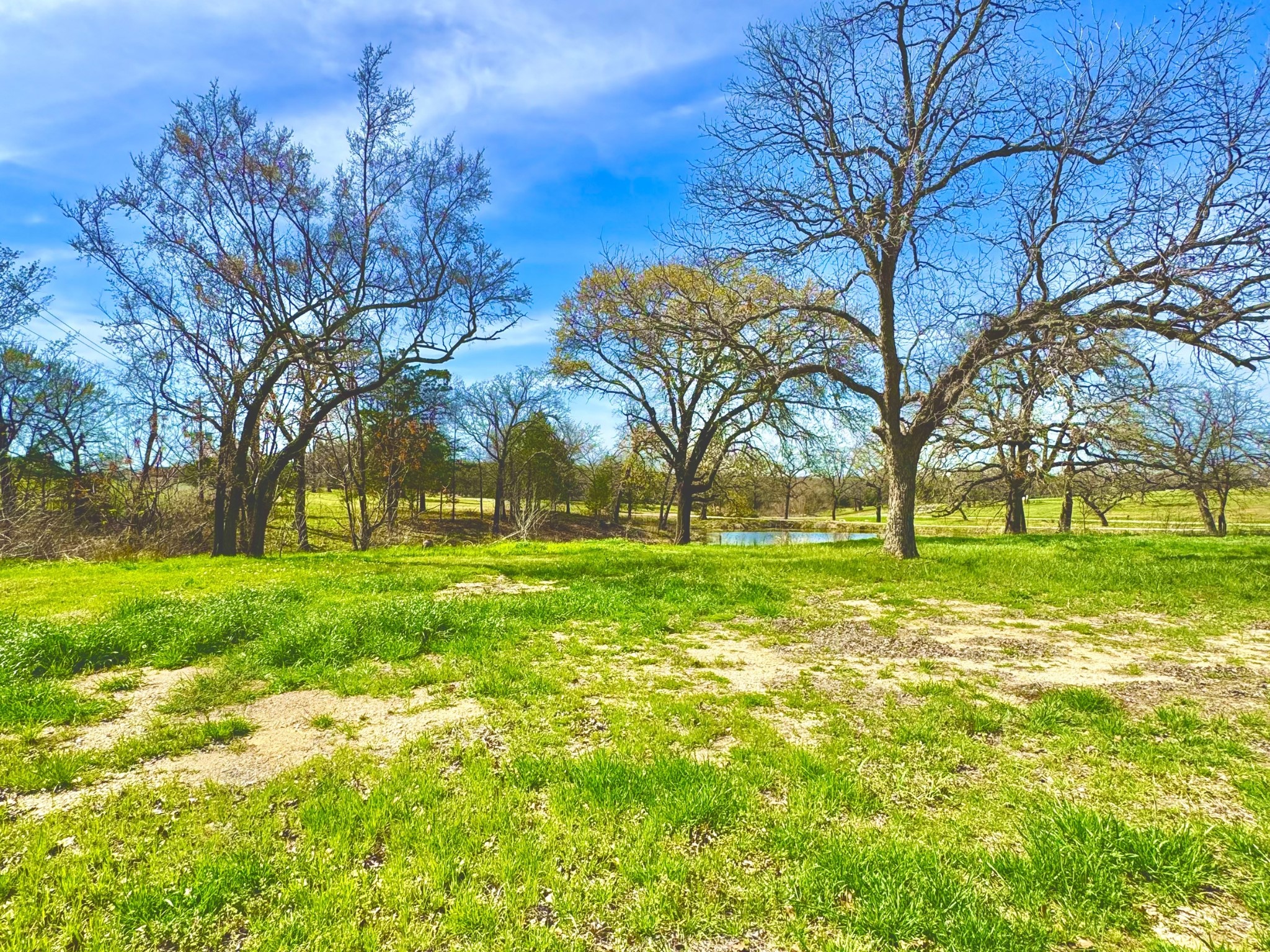 112 Lakelands Court Gordonville TX 76245