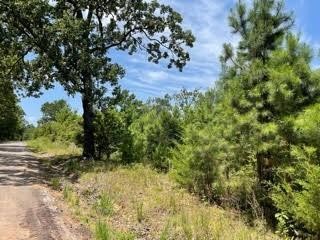 Lot 6 Fm 556 Pittsburg TX 75686