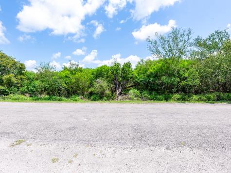 Lot 10 Carmel Drive Sandia TX 78383