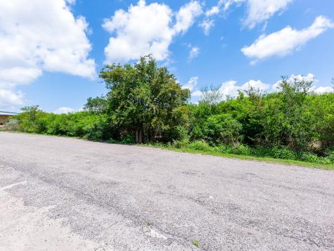 Lot 10 Carmel Drive Sandia TX 78383