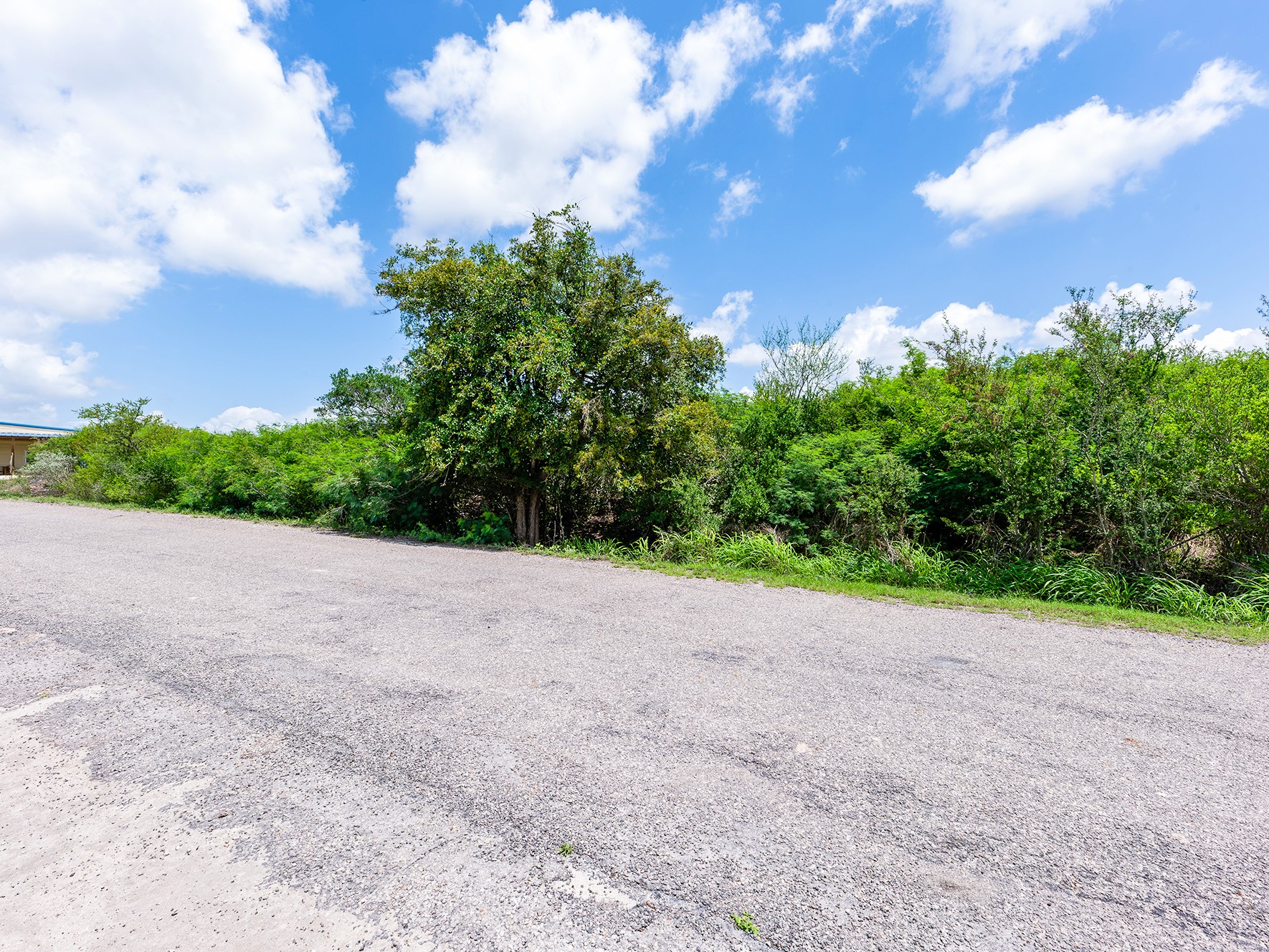 Lot 10 Carmel Drive Sandia TX 78383