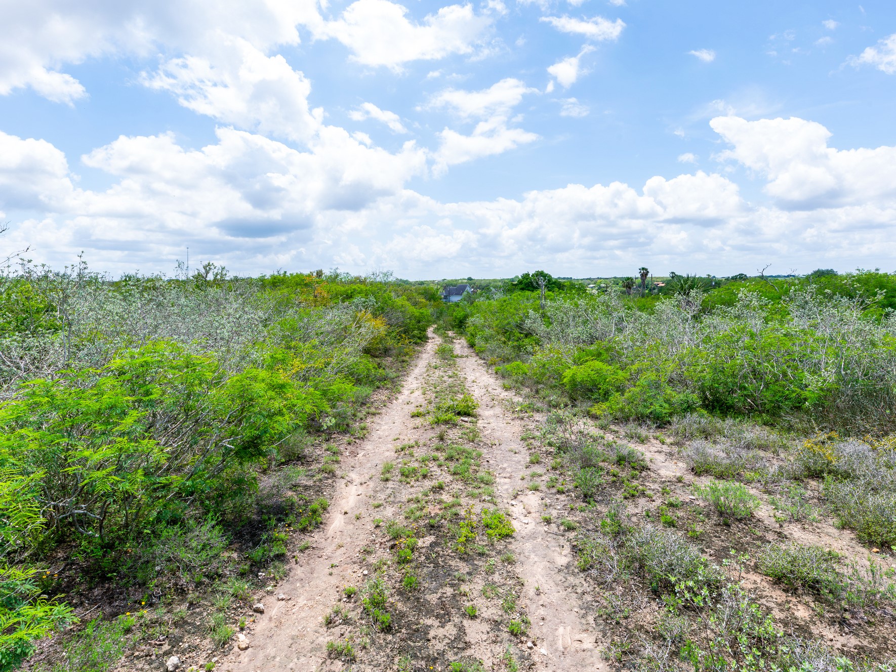 Lot 10 Carmel Drive Sandia TX 78383