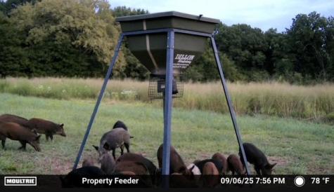 N/a Us-377 Highway Whitesboro TX 76273