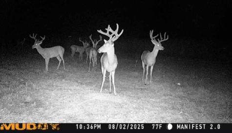 N/a Us-377 Highway Whitesboro TX 76273