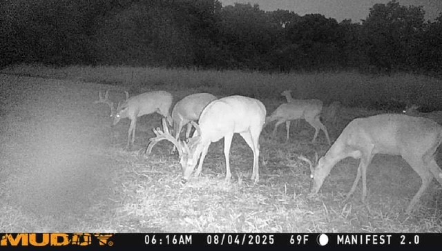 N/a Us-377 Highway Whitesboro TX 76273