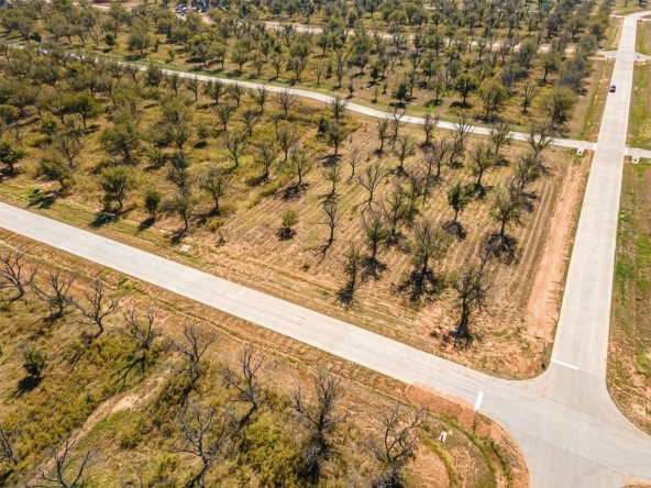 1401 Cirrus Loop Granbury TX 76049