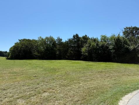 44 Dublin Court Gordonville TX 76245