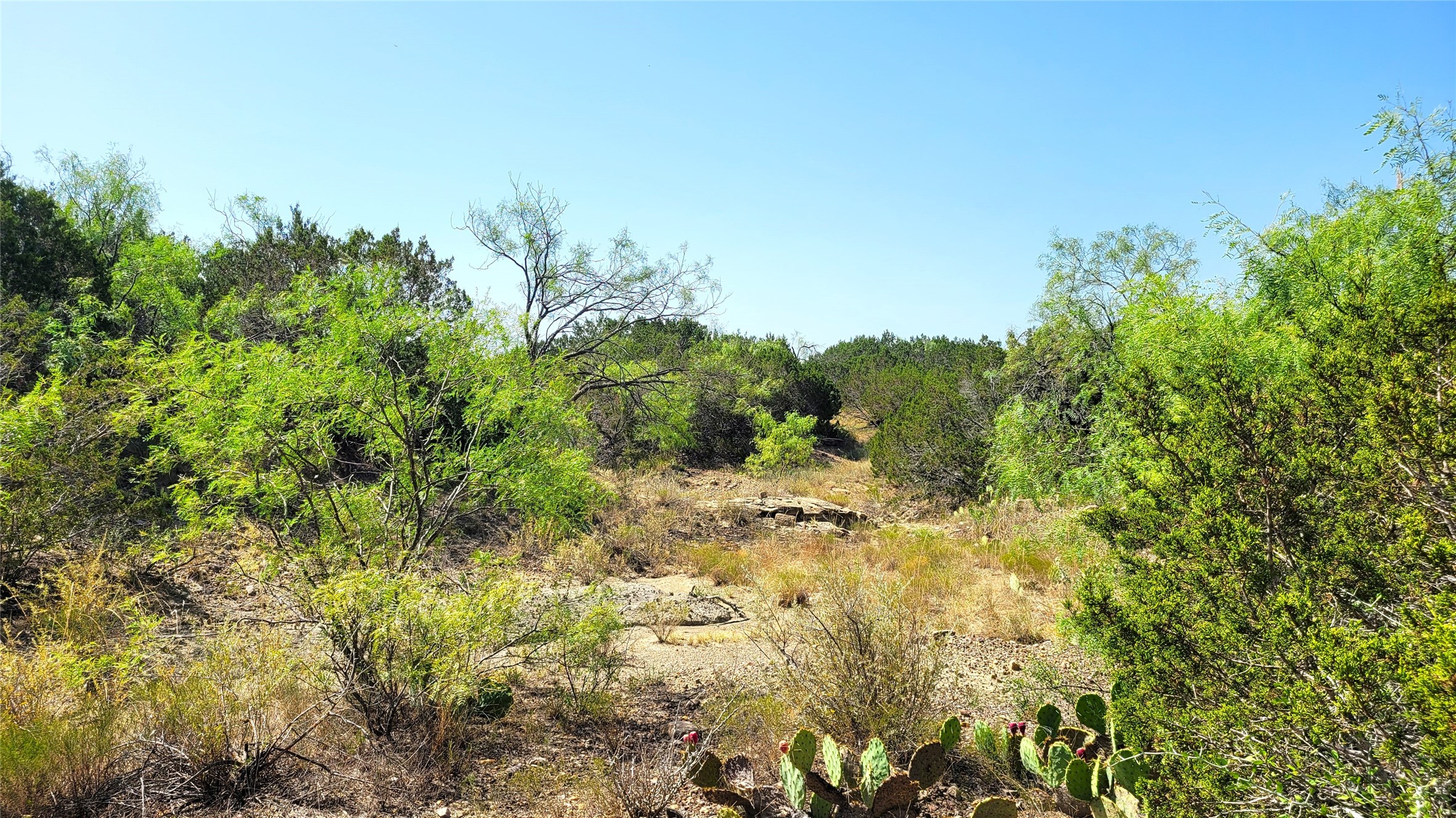 Tbd Cr 139 Bangs TX 76823