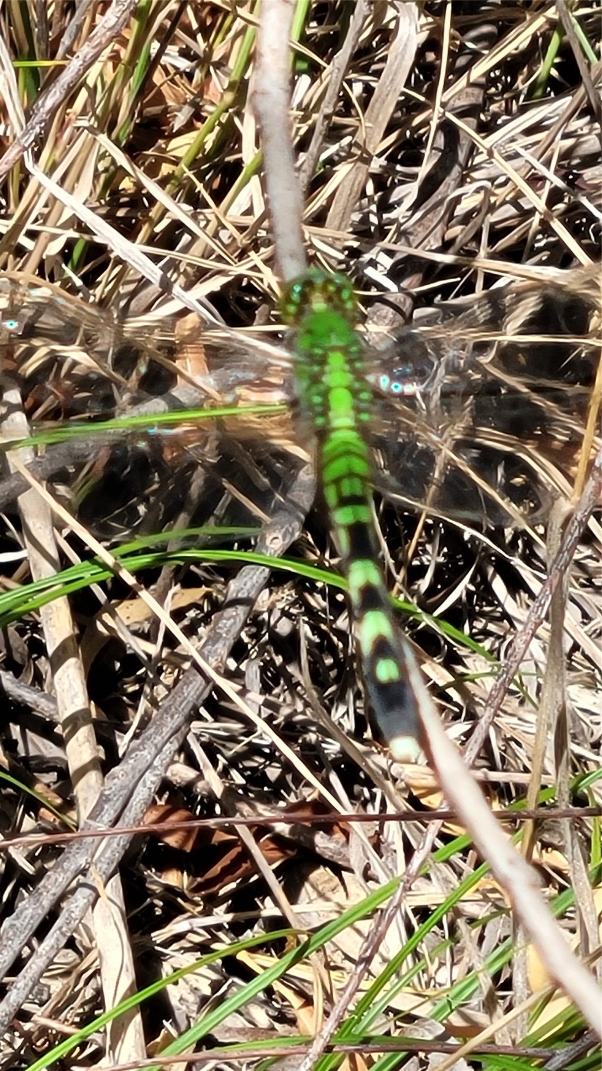 Tbd Cr 139 Bangs TX 76823