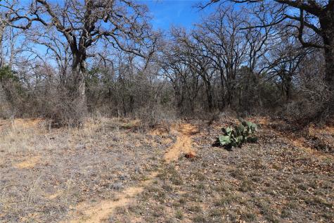 Tbd Cr 139 Bangs TX 76823