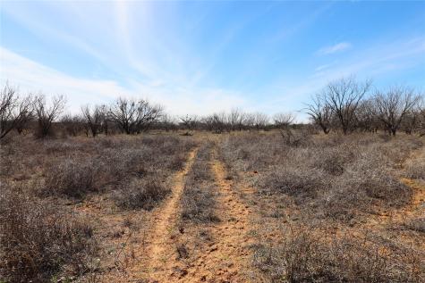 Tbd Cr 139 Bangs TX 76823
