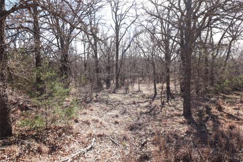 Tbd Cr 139 Bangs TX 76823