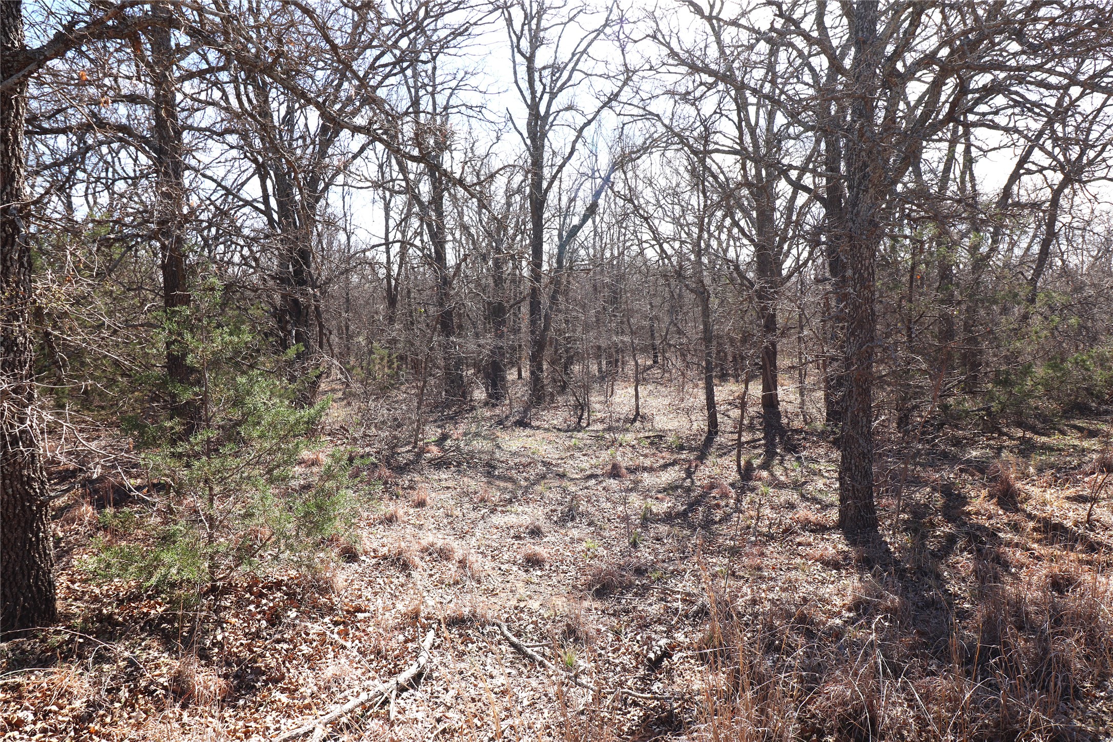 Tbd Cr 139 Bangs TX 76823