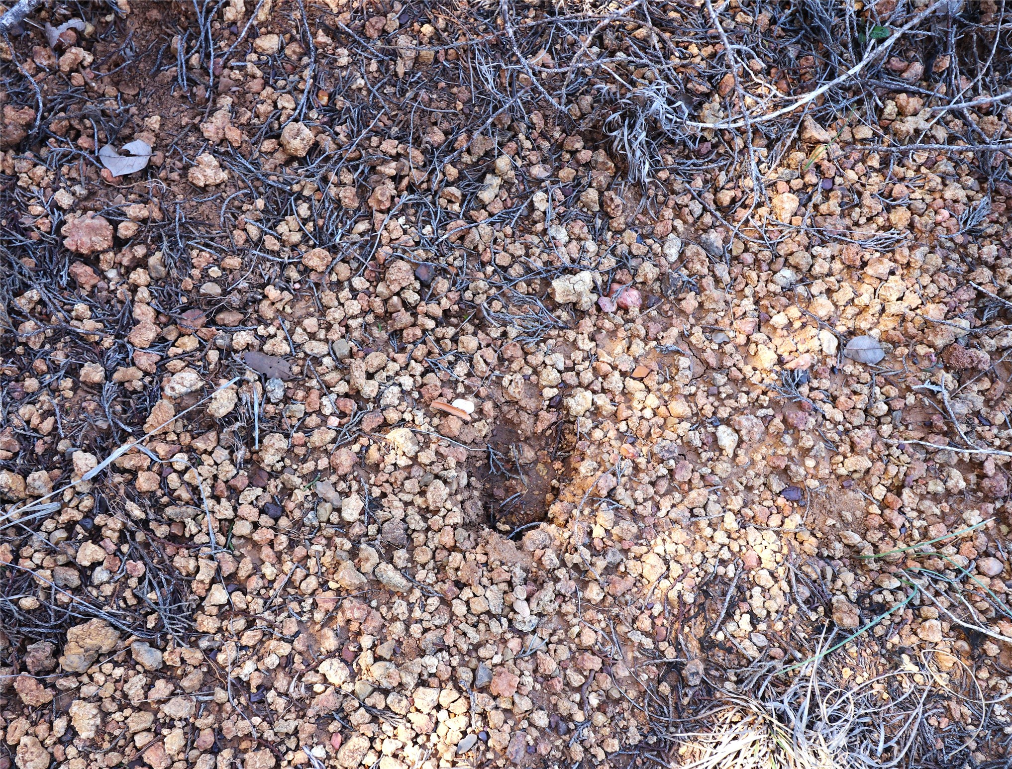 Tbd Cr 139 Bangs TX 76823