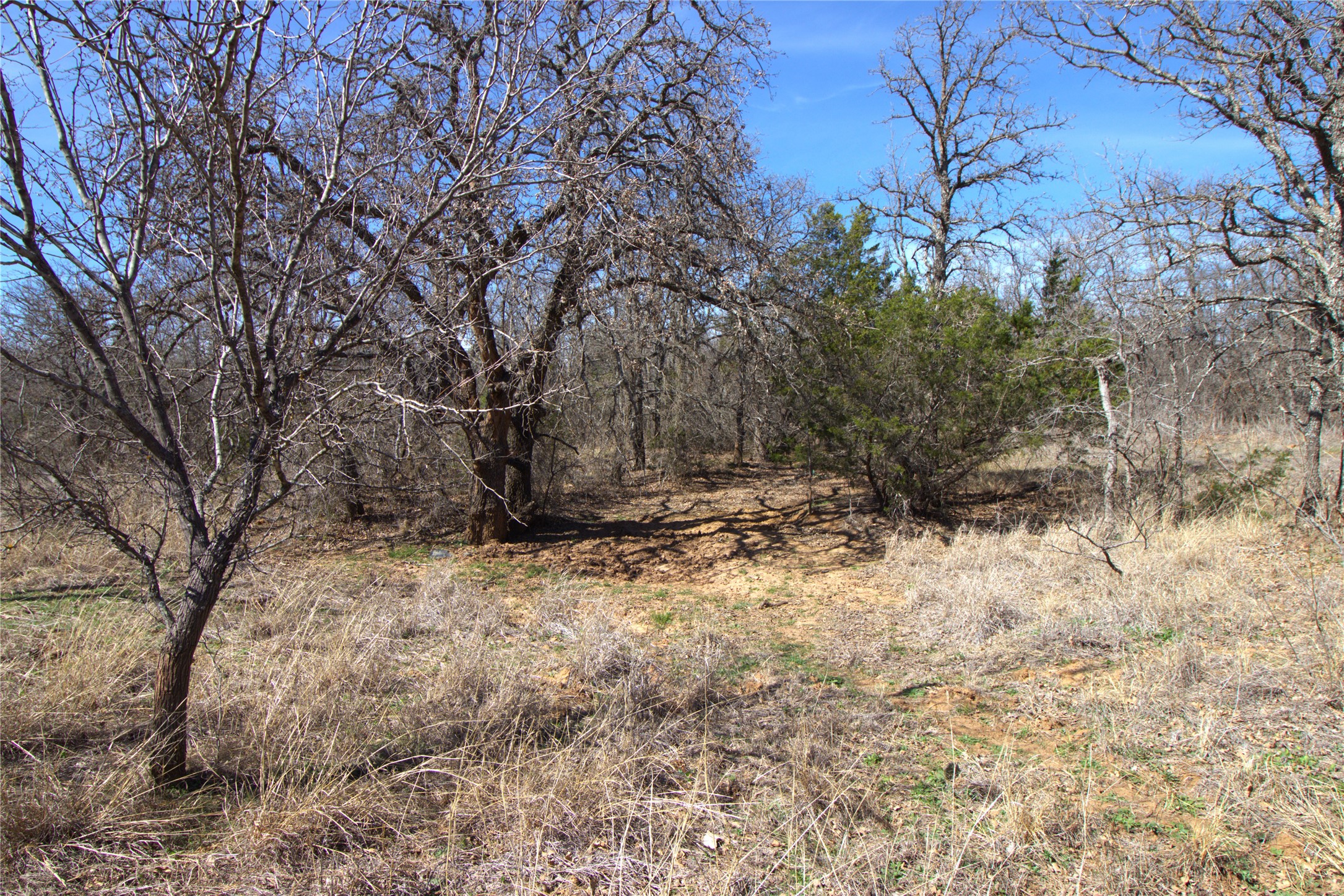 Tbd Cr 139 Bangs TX 76823