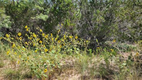 Tbd Cr 139 Bangs TX 76823