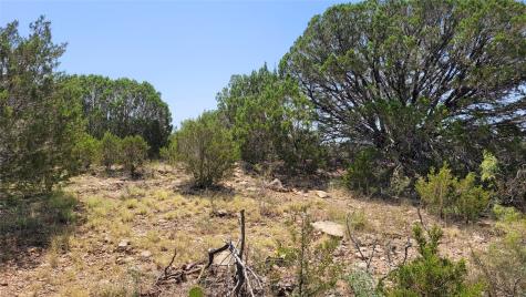 Tbd Cr 139 Bangs TX 76823