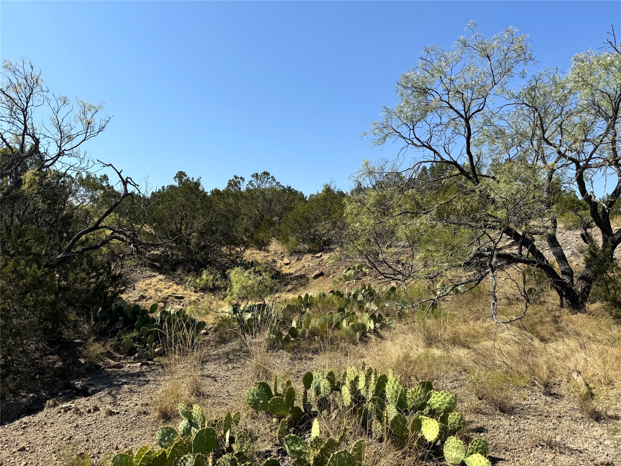 Tbd Cr 139 Bangs TX 76823
