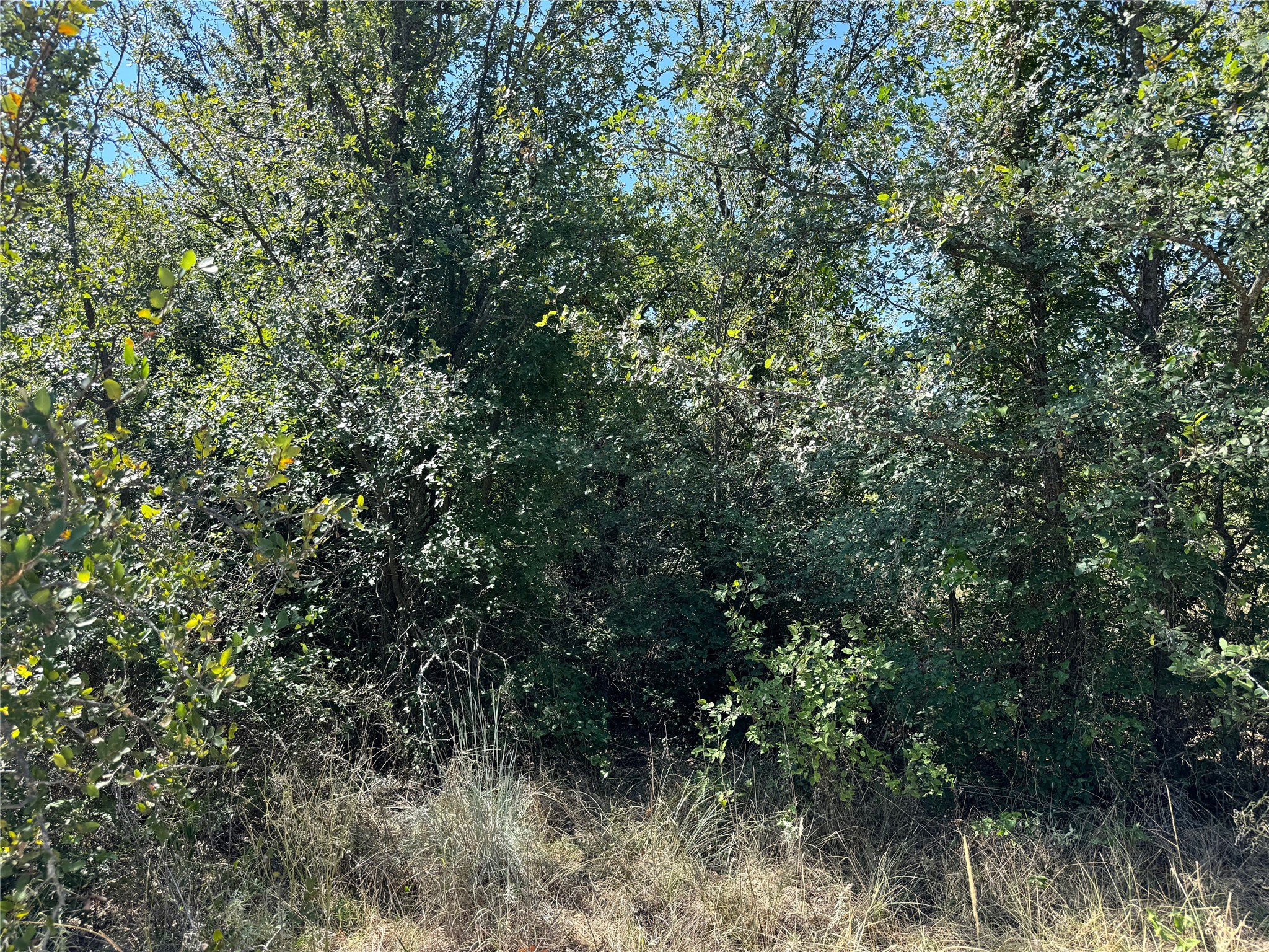 Tbd Cr 139 Bangs TX 76823