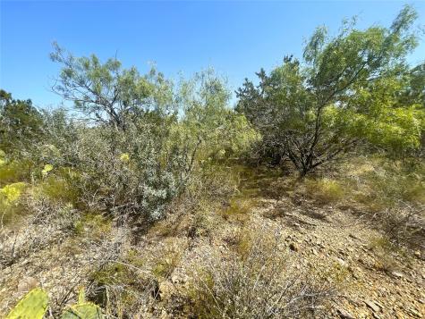 Tbd Cr 139 Bangs TX 76823