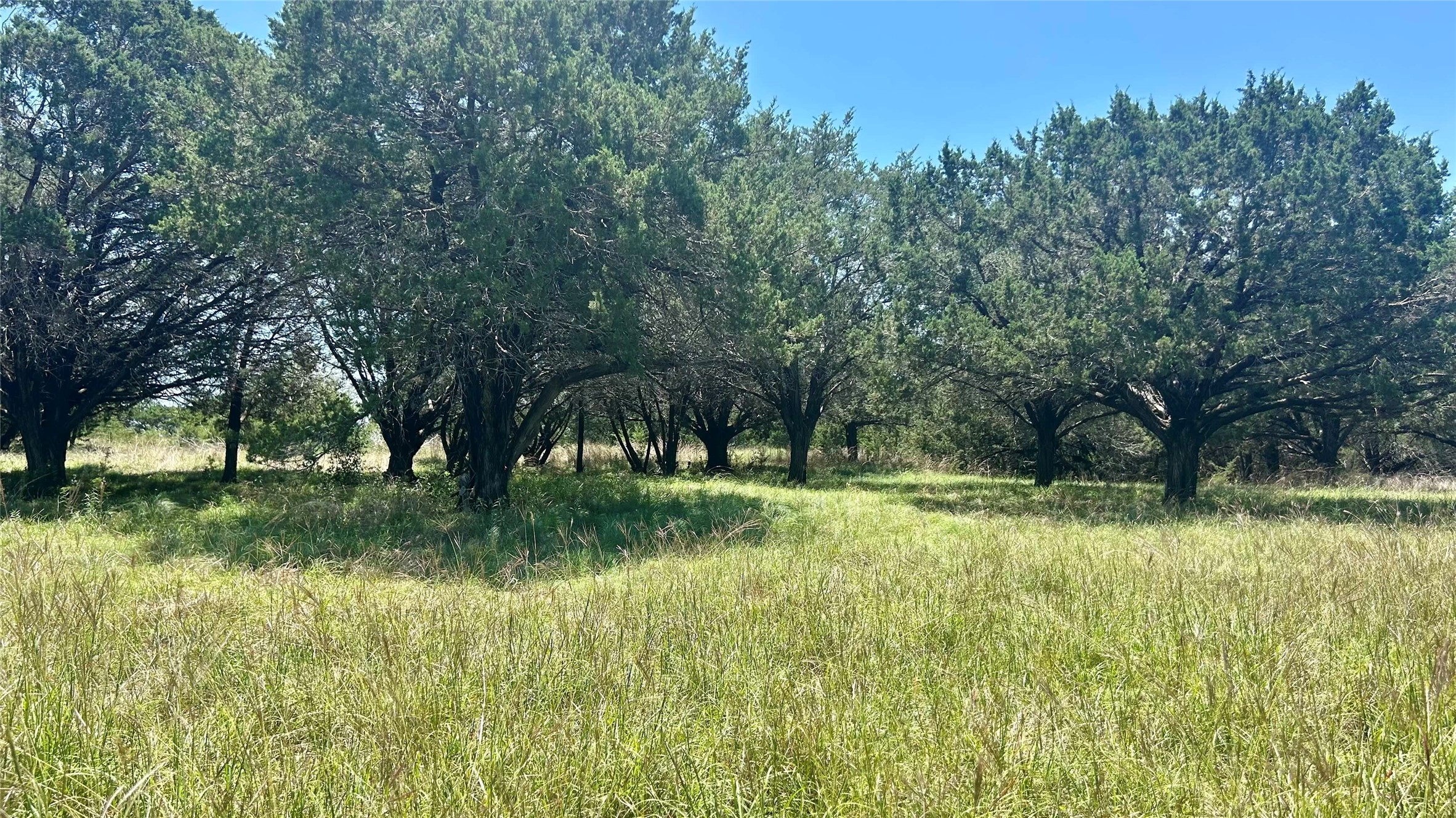 372 County Road 340 Mcgregor TX 76657