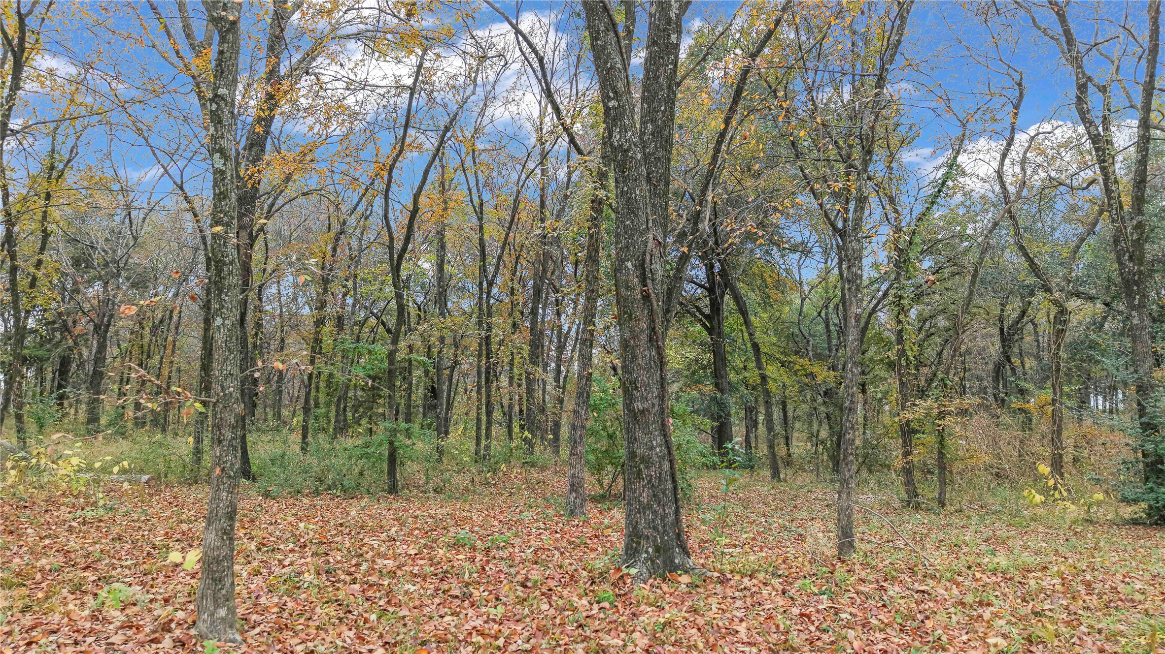 0 Cedar Creek Landing Lane Mabank TX 75143