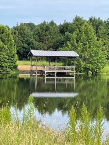 Lake Country (Lot 13) Tx-77 Atlanta TX 75551