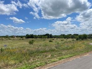 Lot 39 Crestview Corsicana TX 75109