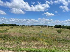 Lot 39 Crestview Corsicana TX 75109