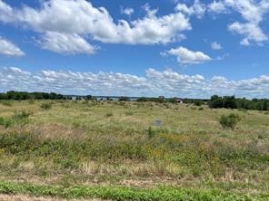 Lot 39 Crestview Corsicana TX 75109