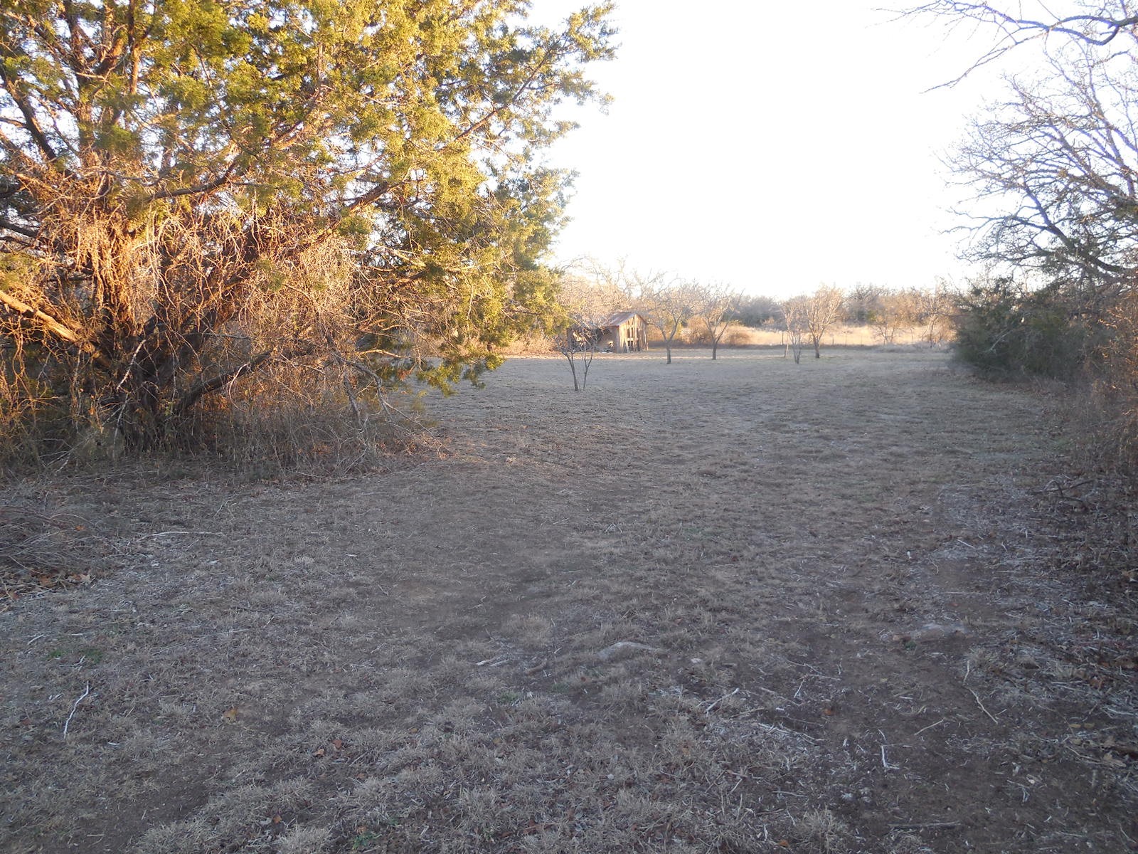 Tbd Highway 571 Ranger TX 76470