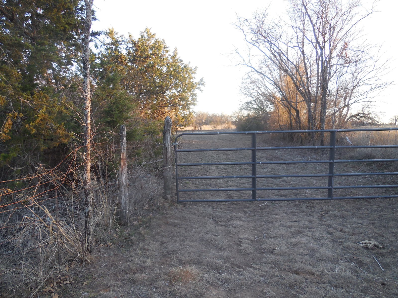 Tbd Highway 571 Ranger TX 76470