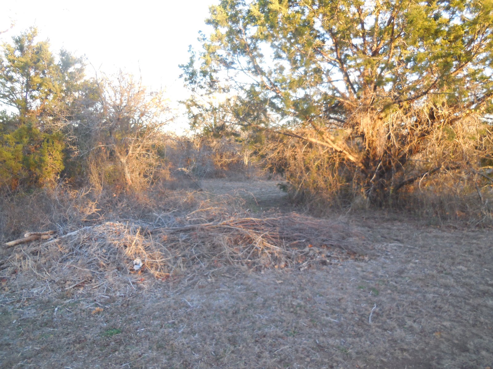Tbd Highway 571 Ranger TX 76470