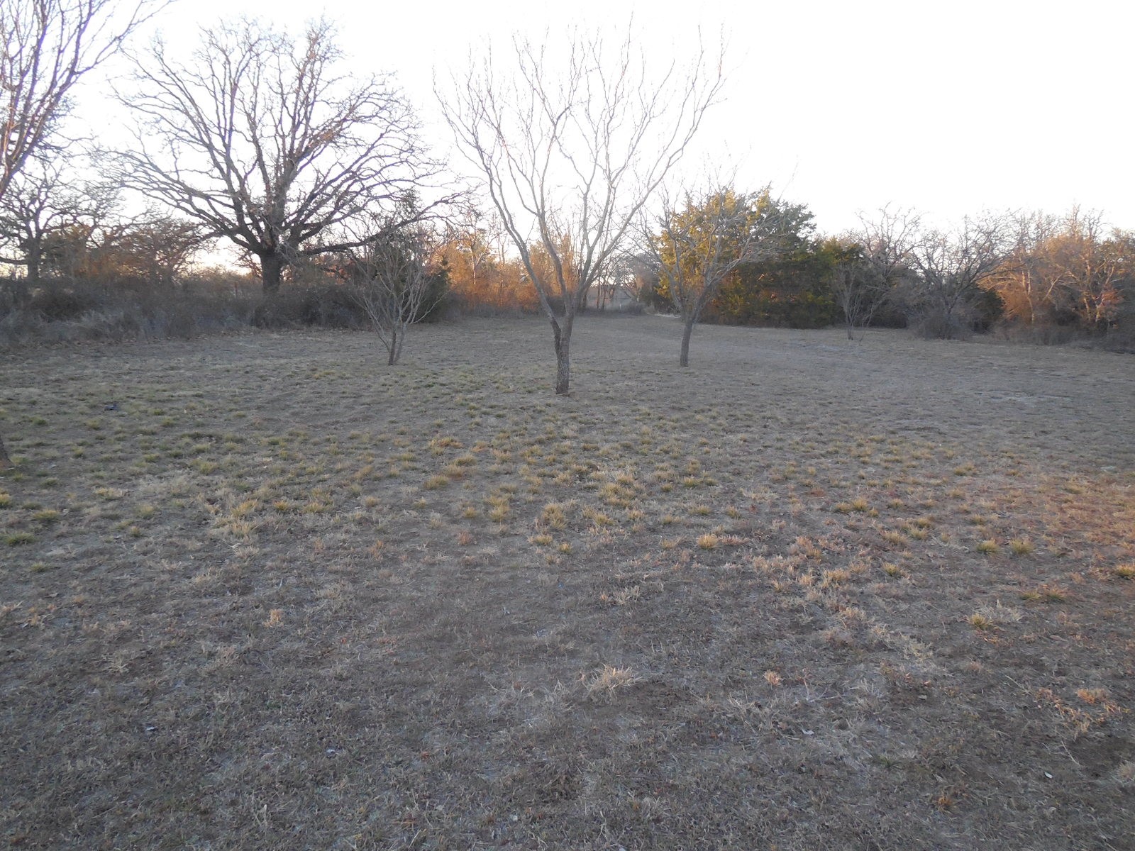 Tbd Highway 571 Ranger TX 76470