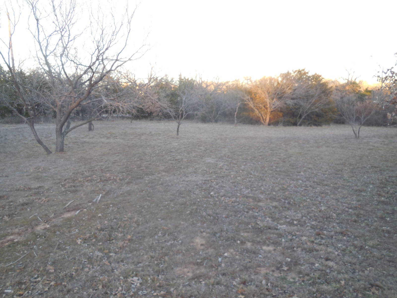 Tbd Highway 571 Ranger TX 76470