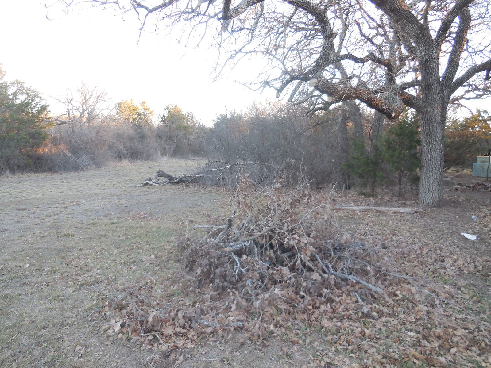 Tbd Highway 571 Ranger TX 76470