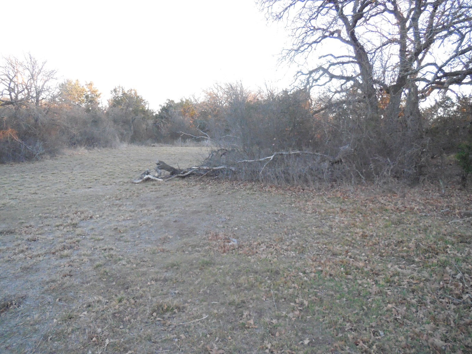 Tbd Highway 571 Ranger TX 76470