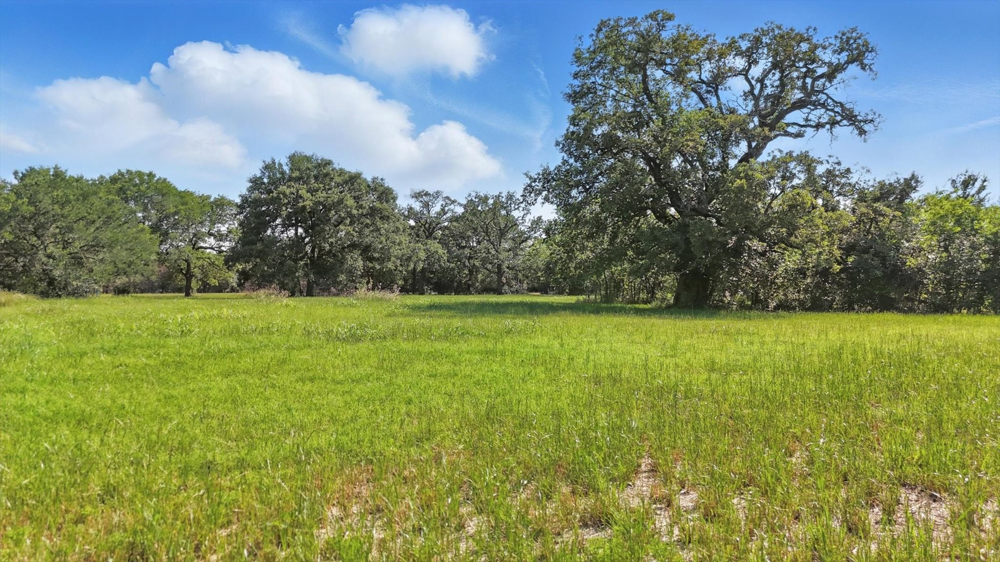 TBD4 W Shady Shores Shady Shores TX 76210