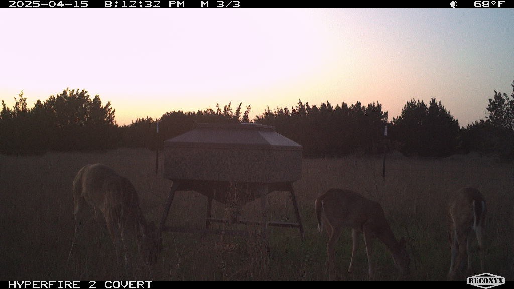 11439 Fm 1602 (161) Jonesboro TX 76538