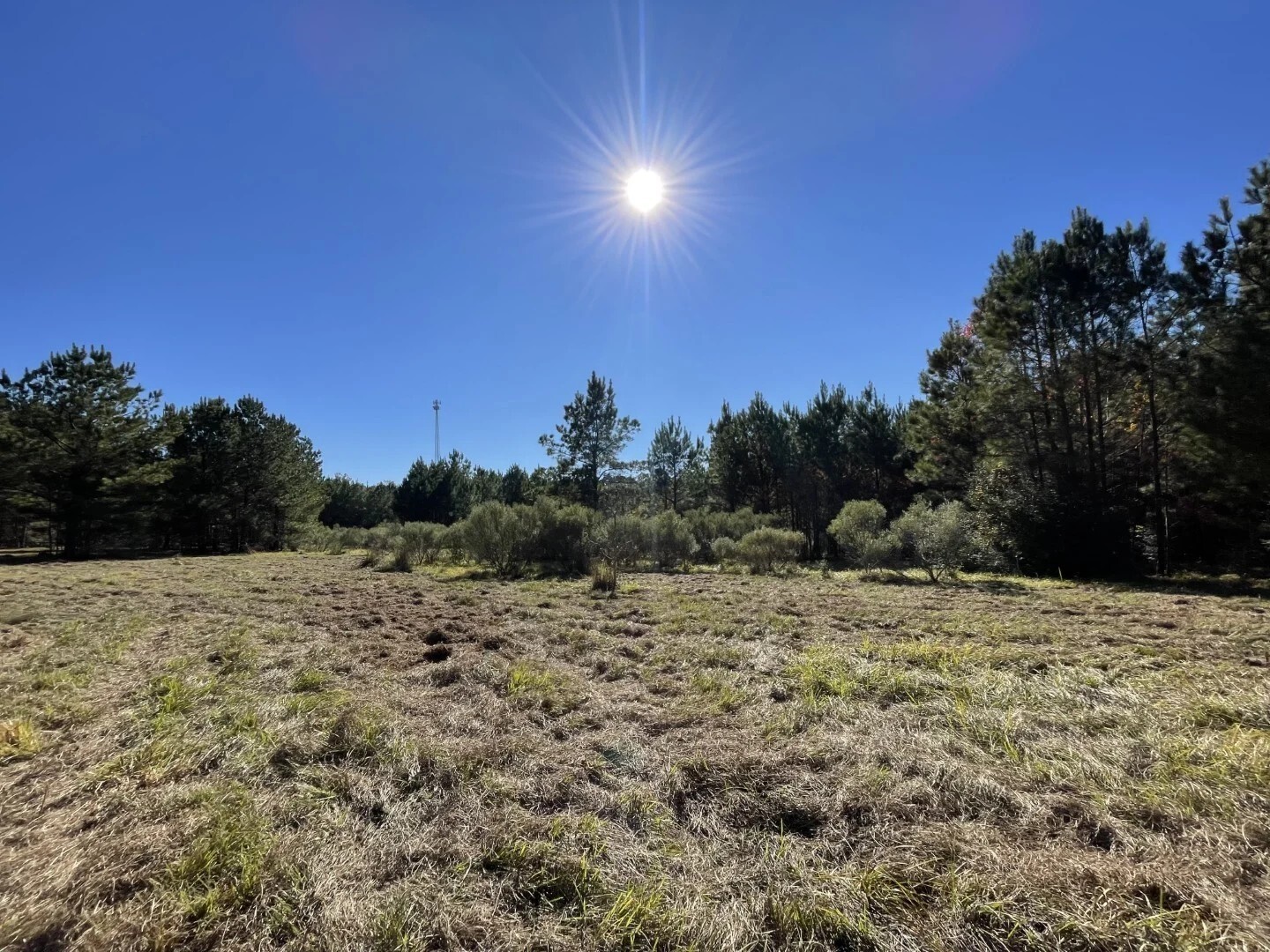Lot 2 E Fm 942 Corrigan TX 75934