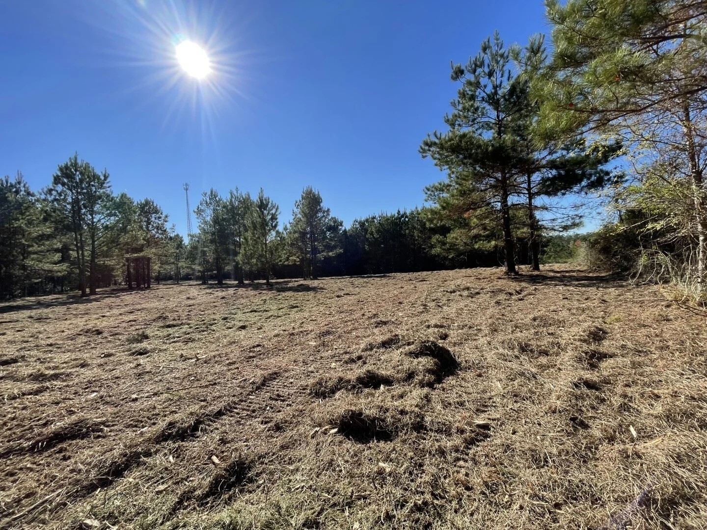 Lot 2 E Fm 942 Corrigan TX 75934
