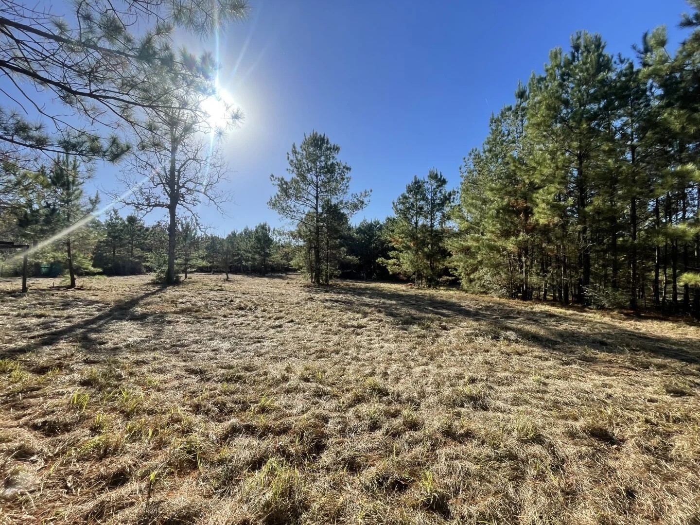 Lot 2 E Fm 942 Corrigan TX 75934