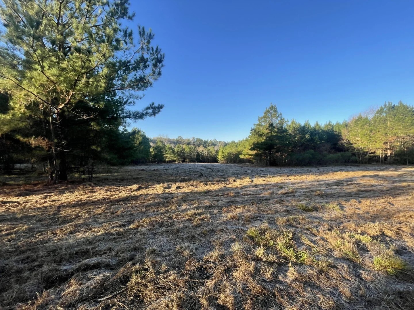 Lot 2 E Fm 942 Corrigan TX 75934