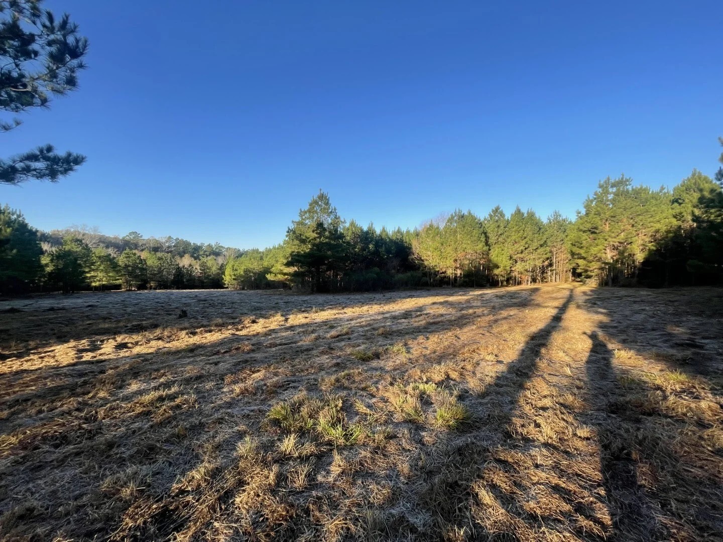 Lot 2 E Fm 942 Corrigan TX 75934