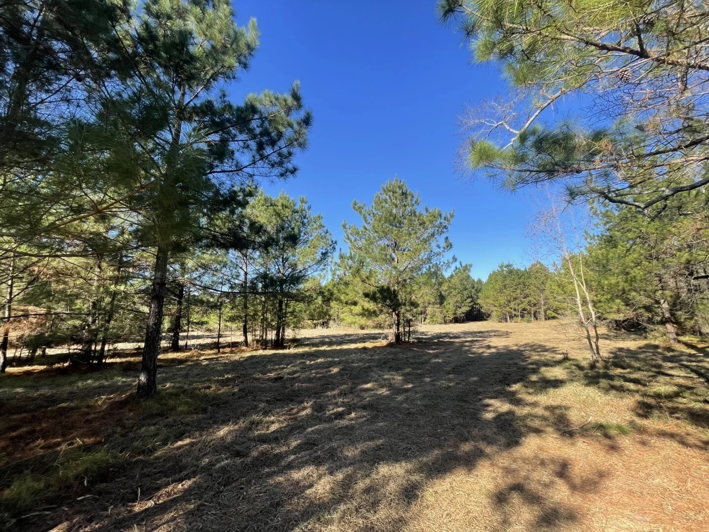 Lot 2 E Fm 942 Corrigan TX 75934