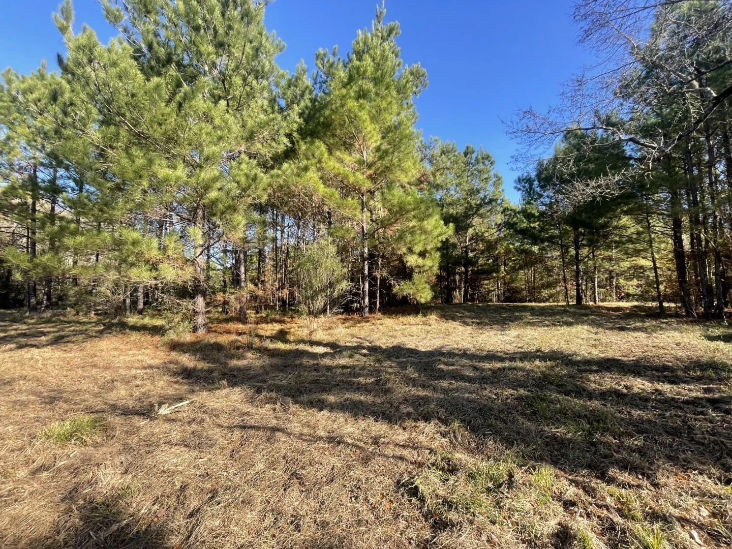 Lot 2 E Fm 942 Corrigan TX 75934