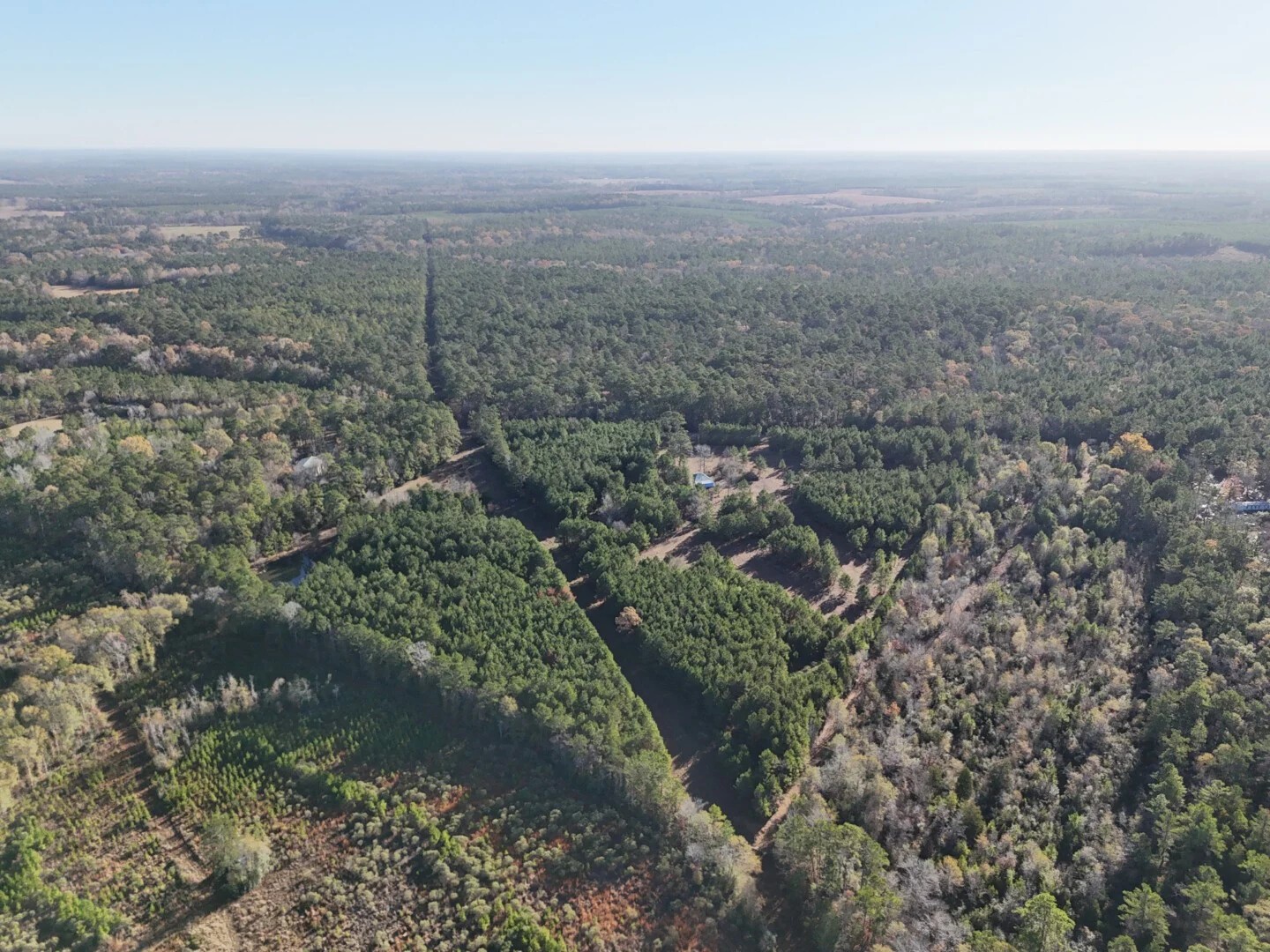Lot 2 E Fm 942 Corrigan TX 75934