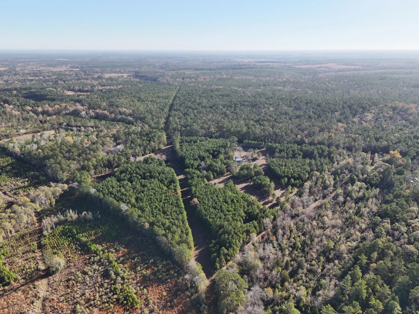 Lot 2 E Fm 942 Corrigan TX 75934