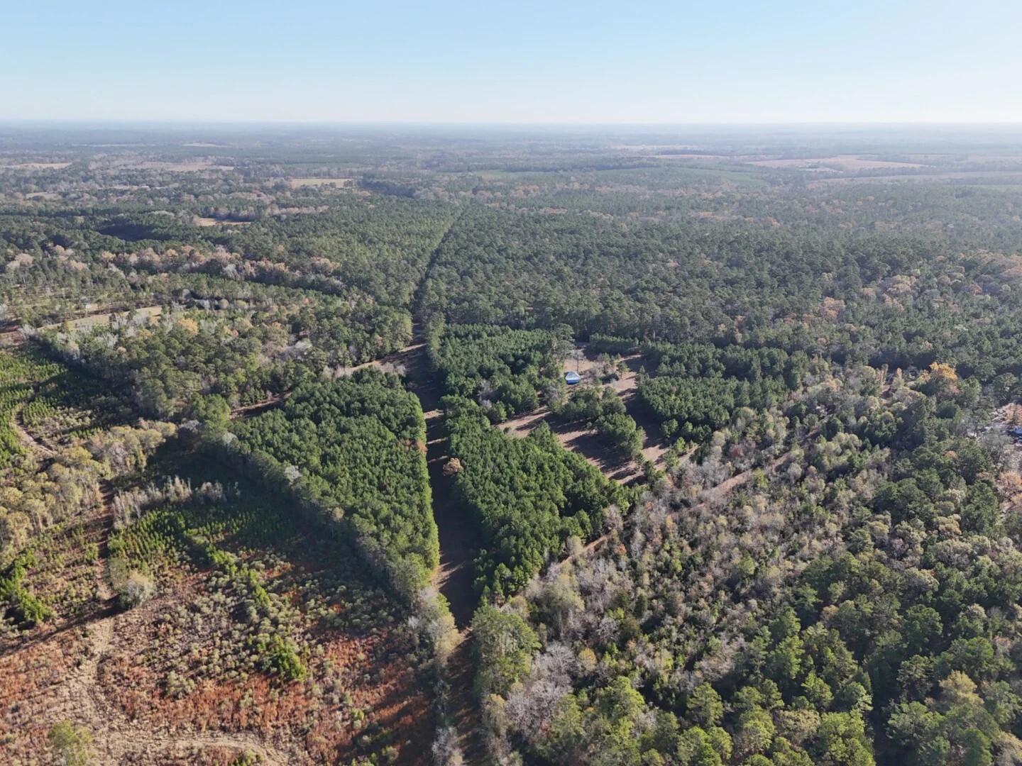 Lot 2 E Fm 942 Corrigan TX 75934